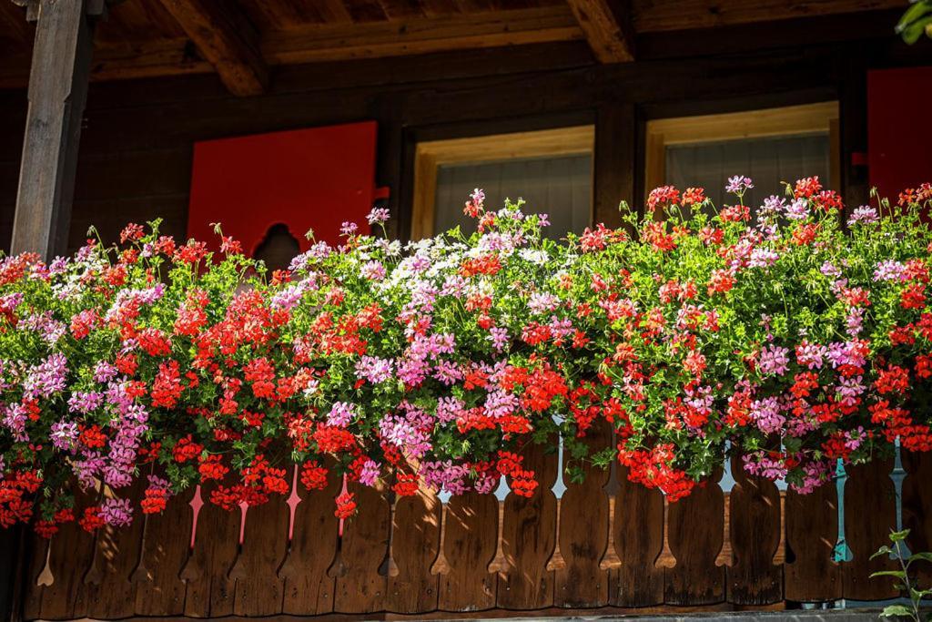 Hotel Sonnenhalde, Arosa Ngoại thất bức ảnh